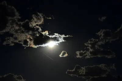 DSC_1682 (Large).JPG